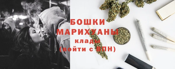 метадон Елизово