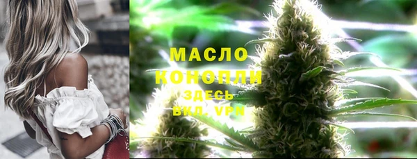 метадон Елизово