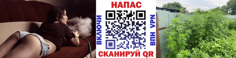 Бошки марихуана Bruce Banner  Купить  Зеленоградск 